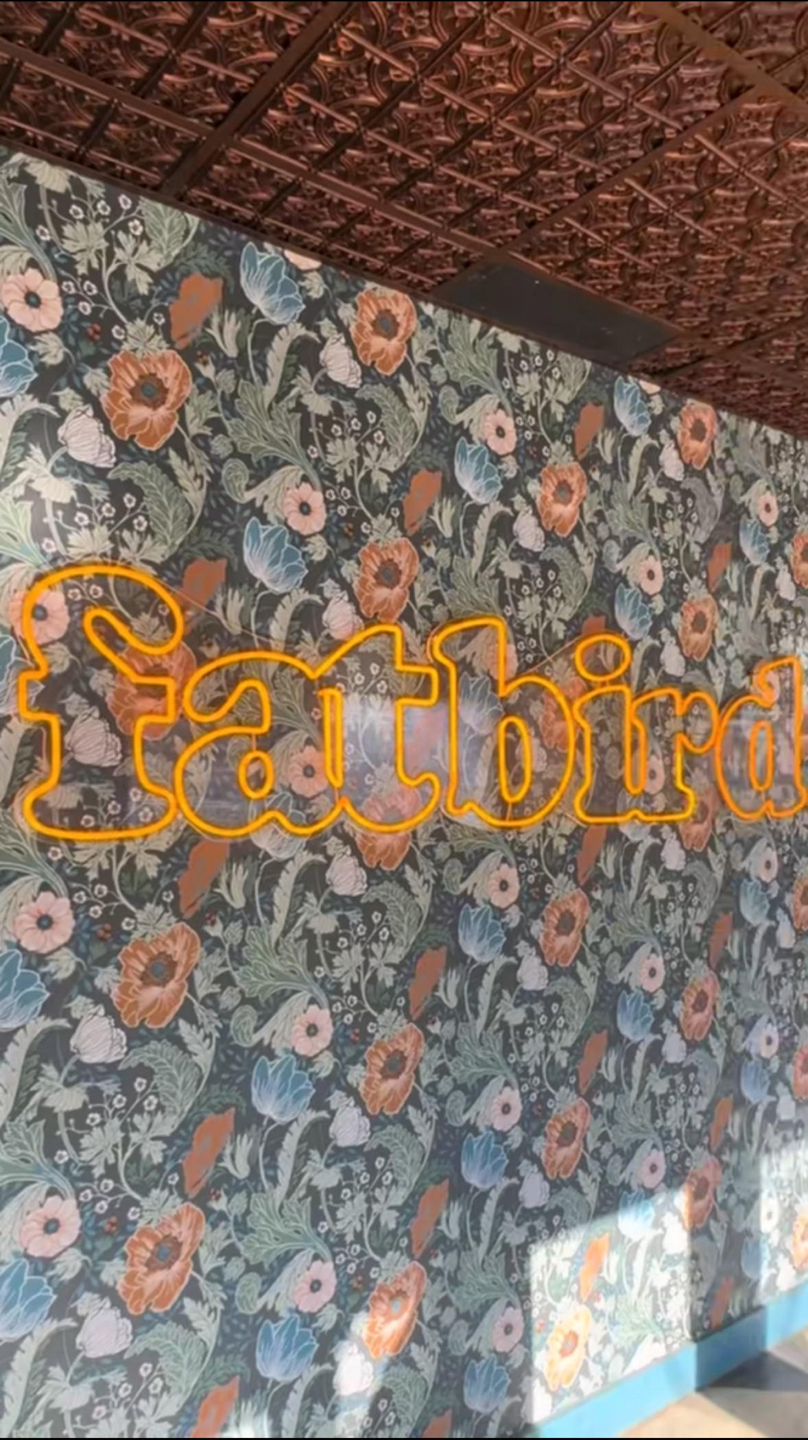 Fat Bird