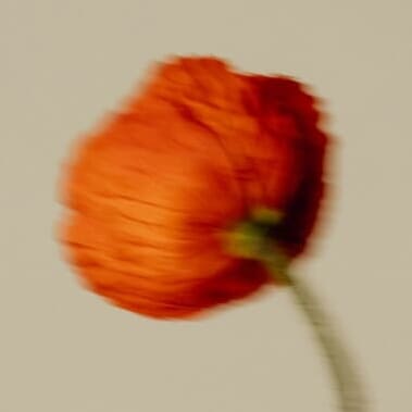custom img 148